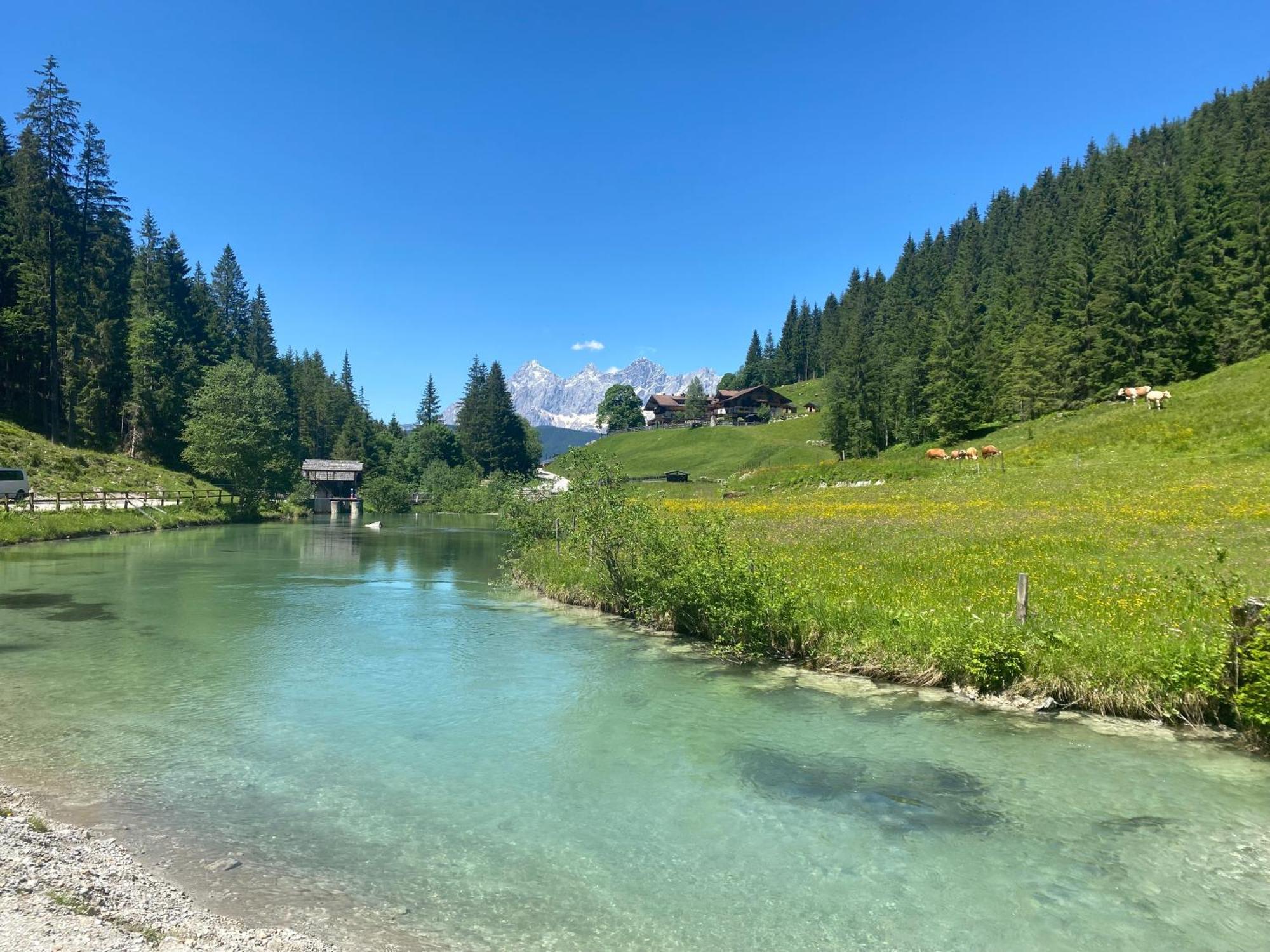 Appartements By Chalet Reiteralm -Sommercard Шладминг Экстерьер фото